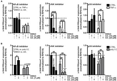 p38 and Casein Kinase 2 Mediate Ribonuclease 1 Repression in Inflamed Human Endothelial Cells via Promoter Remodeling Through Nucleosome Remodeling and Deacetylase Complex